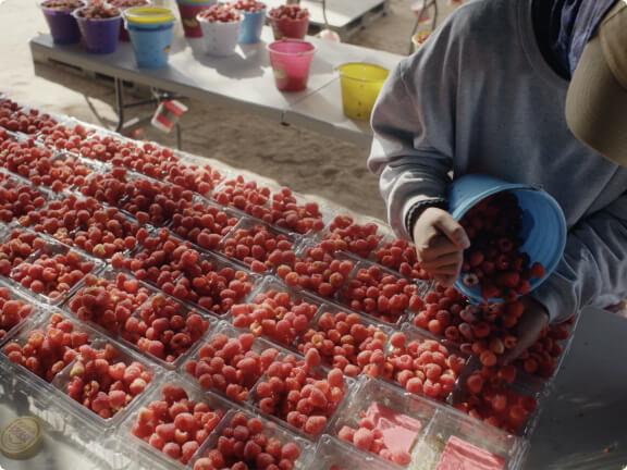 Persona vertiendo frutas frescas en un contenedor en un puesto de mercado.
