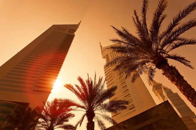 dubai palmtrees and buildings