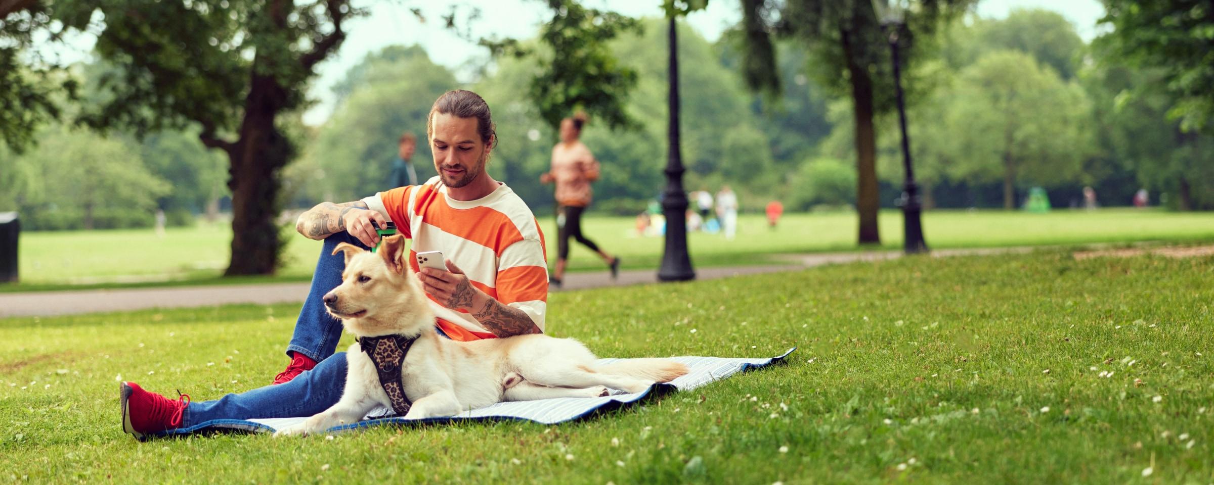 Man sitting on a blanket in a park with his dog while looking at his phone.