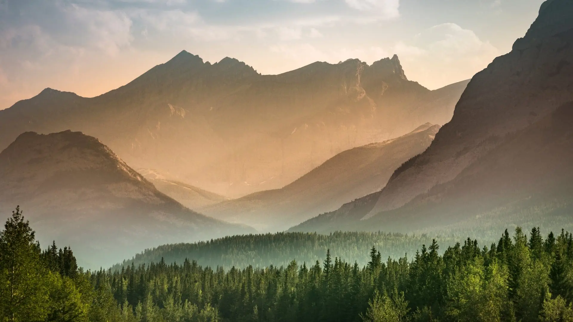 Sun rays filtering through mist over a mountainous landscape with a dense forest in the foreground in Canada.