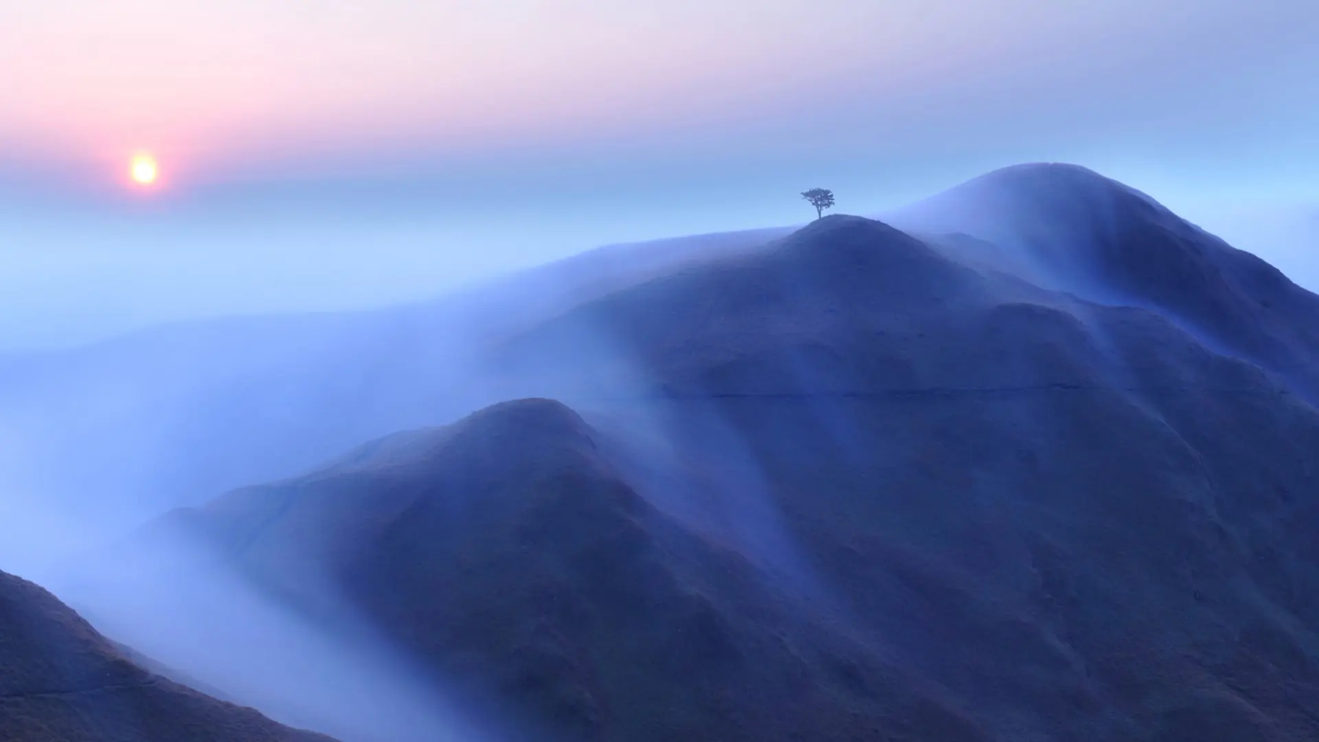 Sunset casting soft light over misty hills with a lone tree on the crest in the Philippines.