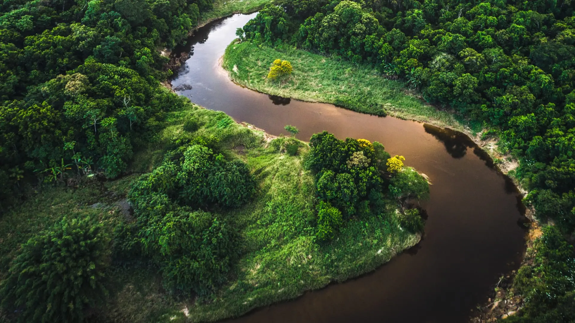 Aerial view of a winding river through a dense tropical forest in Brazil.
