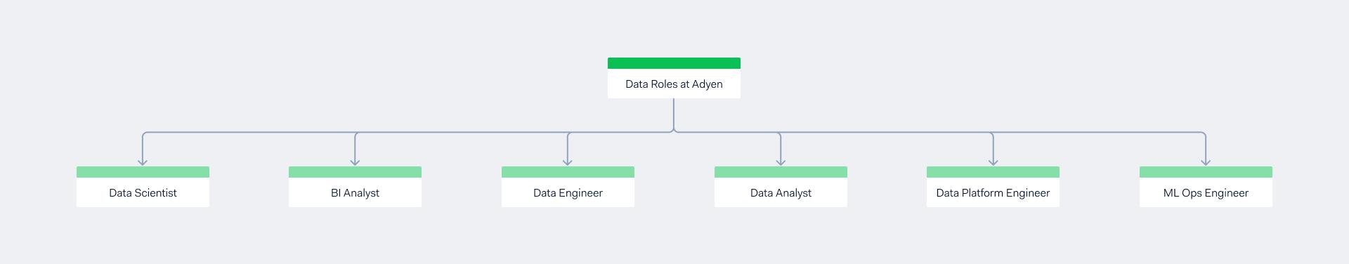 Image umbrella showing data roles at adyen: data scientist, BI Analyst, Data Engineers, Data Analyst, Data Platform Engineer and ML Ops Engineer