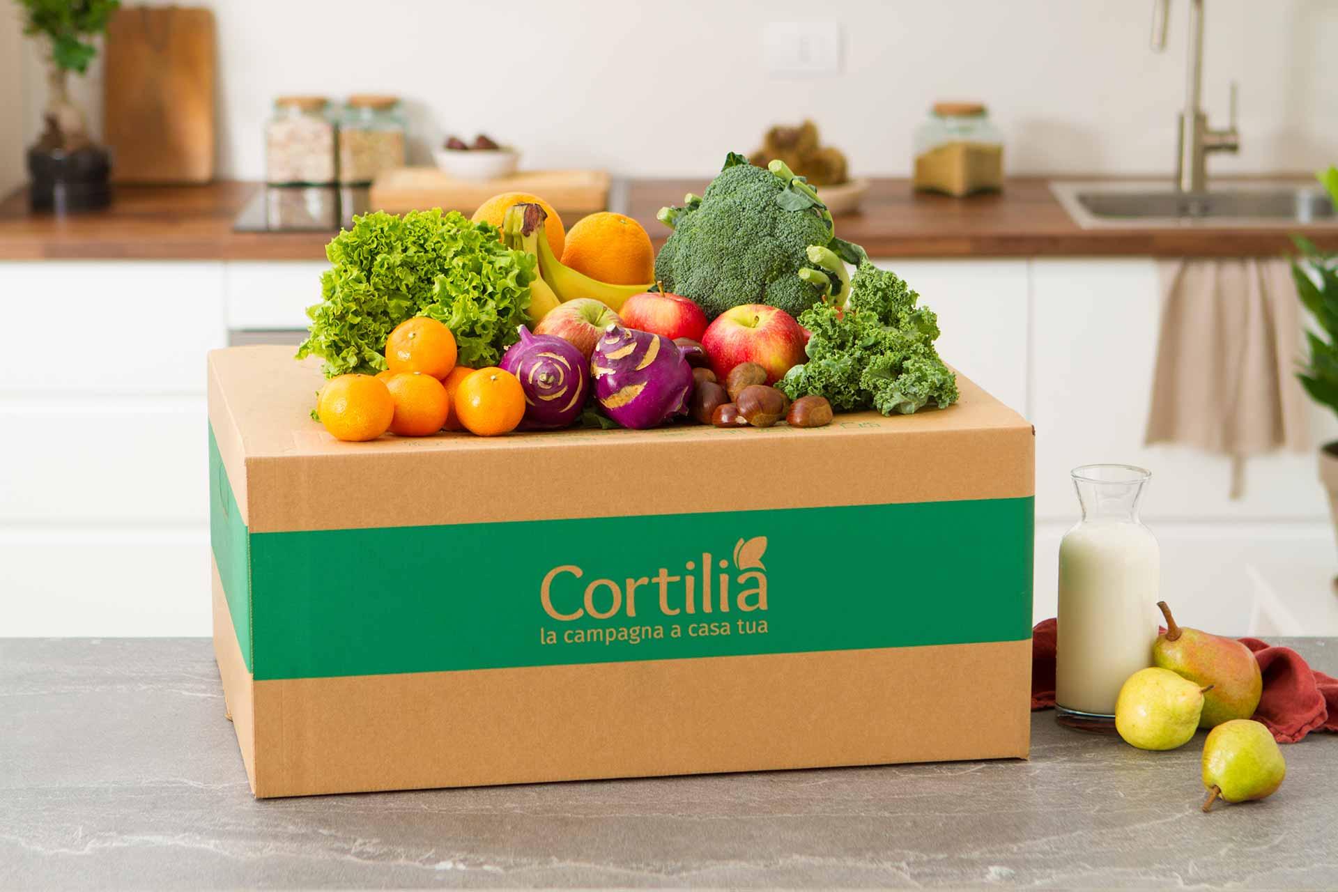 Scatola di cartone piena di vari ortaggi e frutta freschi su un bancone della cucina.