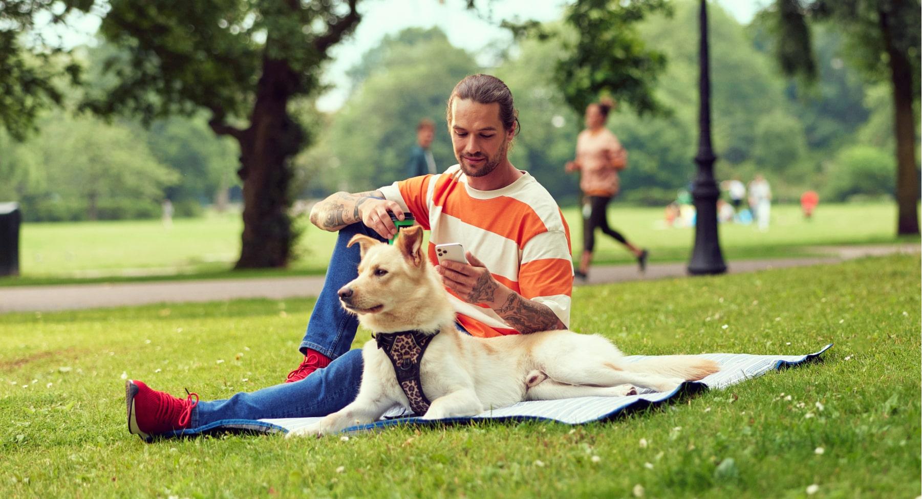 Man sitting with a dog in the park while looking at his phone.