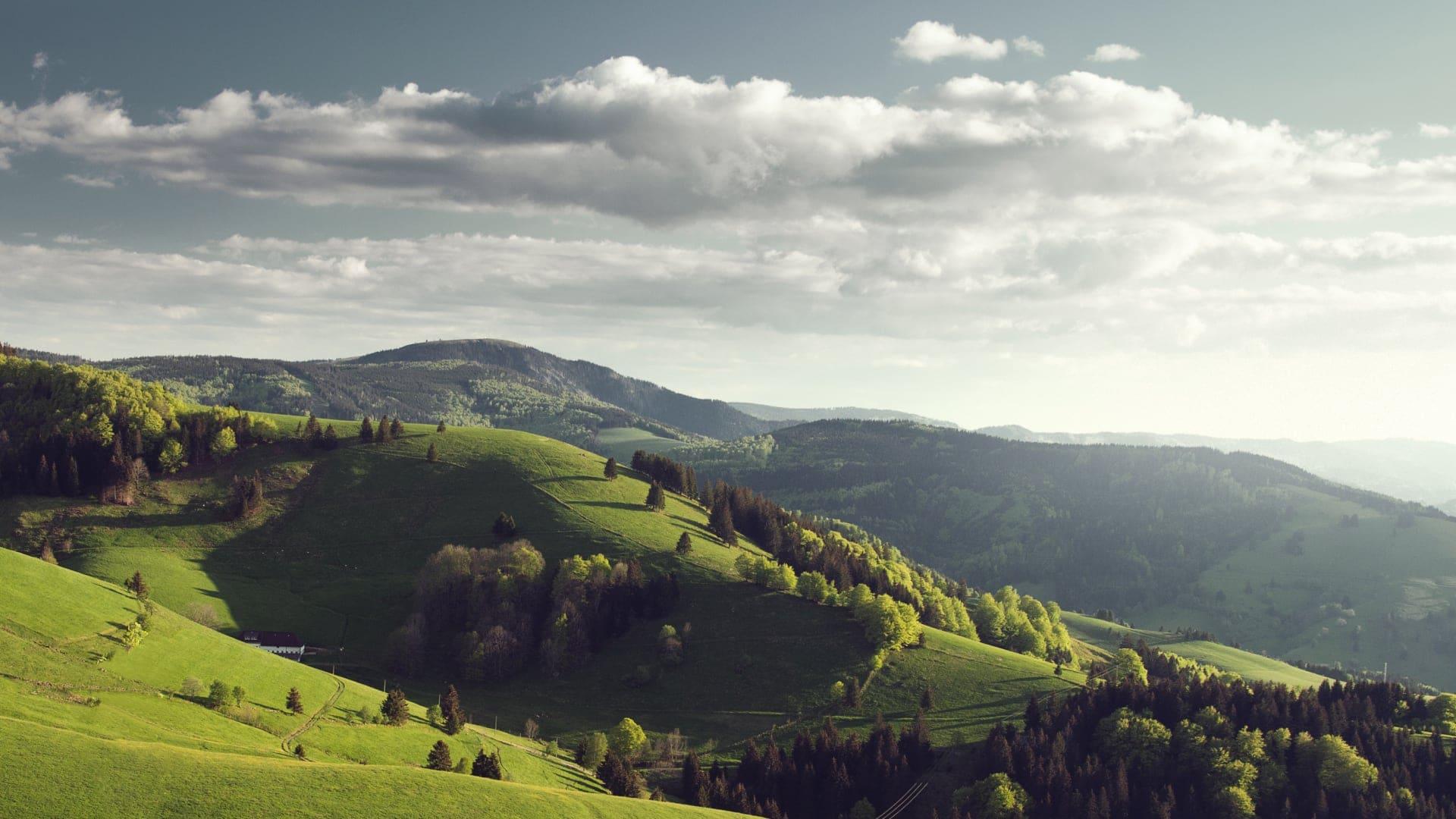 Rolling hills covered in vibrant green grass and forests under a cloudy sky in Germany.