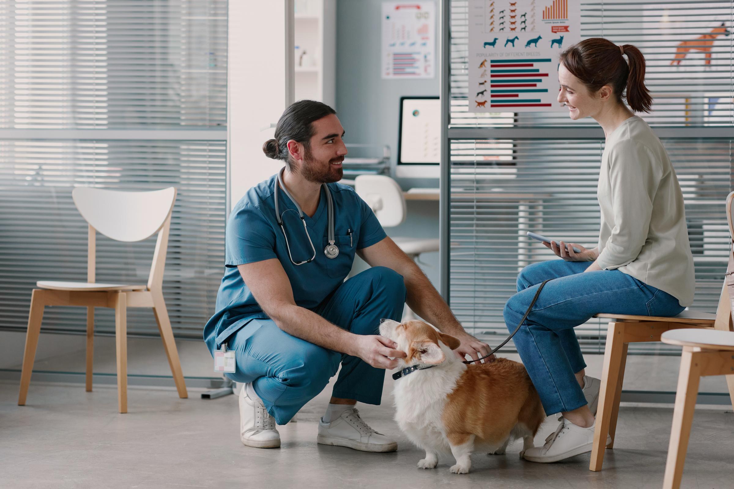 persons at vet engaging  with pets 