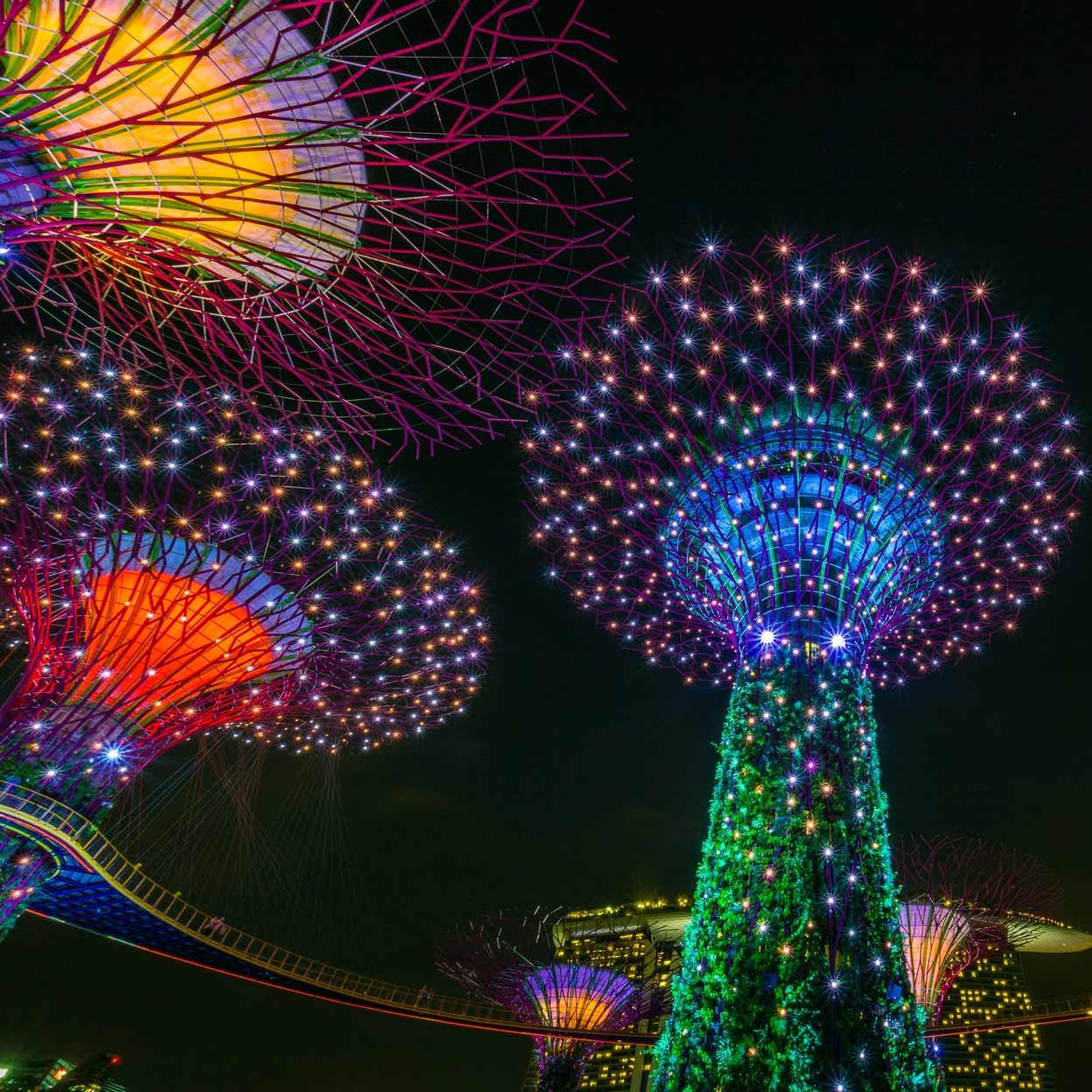Upplysta trädliknande strukturer i Gardens by the Bay på natten