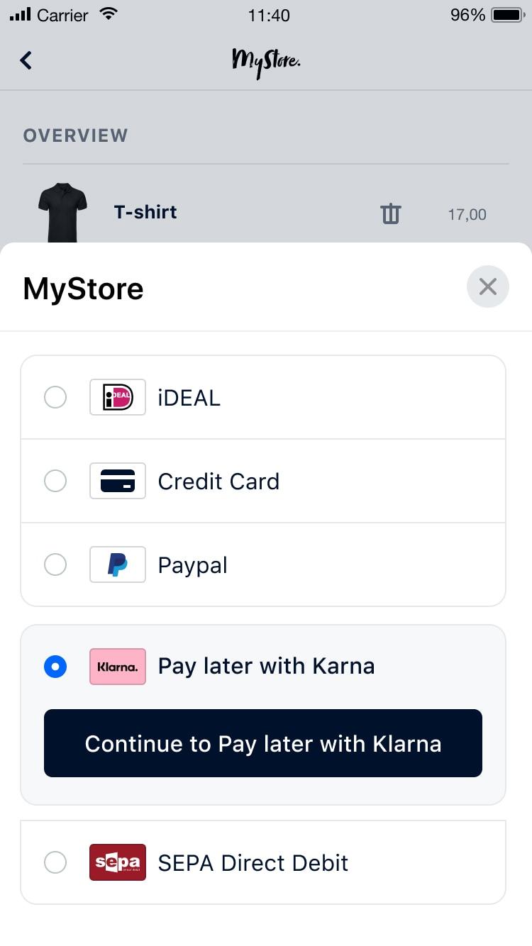 Mobile screen showing payment options including iDEAL, Credit Card, Paypal, Pay later with Klarna, and SEPA Direct Debit.
