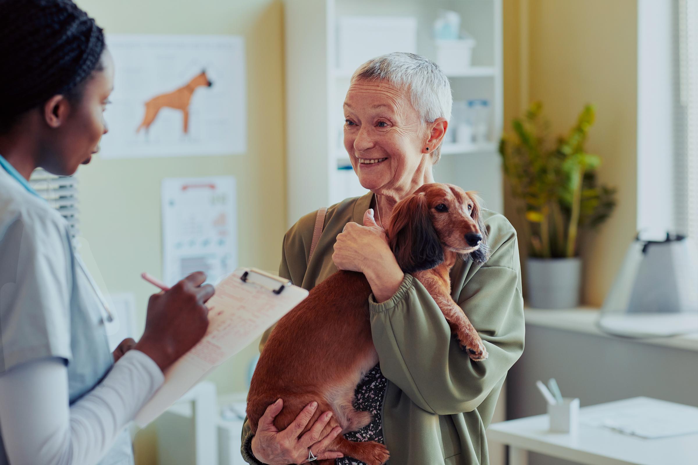 persons at vet engaging  with pets 