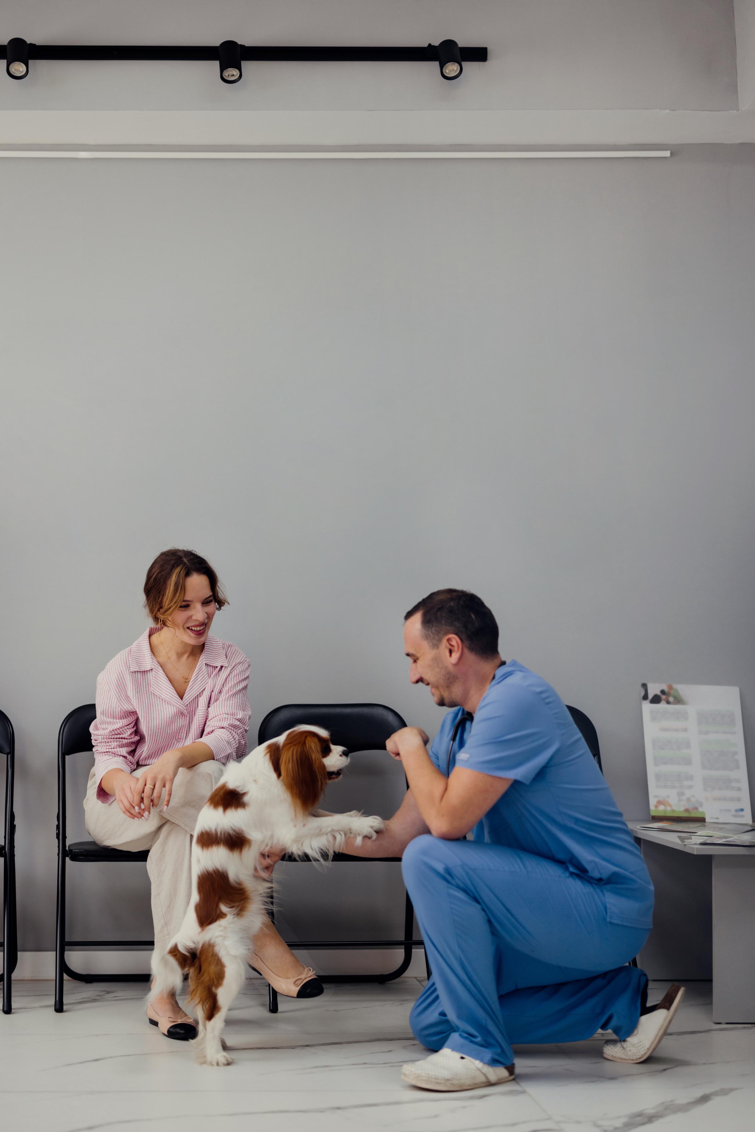 persons at vet engaging  with pets 