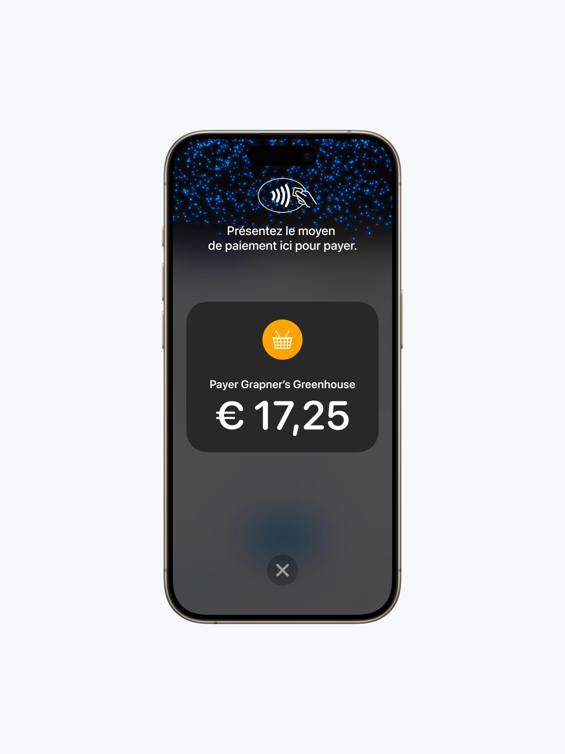 Téléphone intelligent affichant un écran de paiement en français pour une transaction de 17,25 €