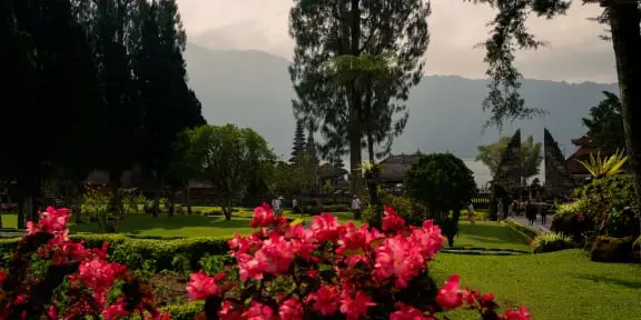 Jardin luxuriant avec des fleurs roses en fleurs au premier plan et des montagnes à l'arrière-plan.