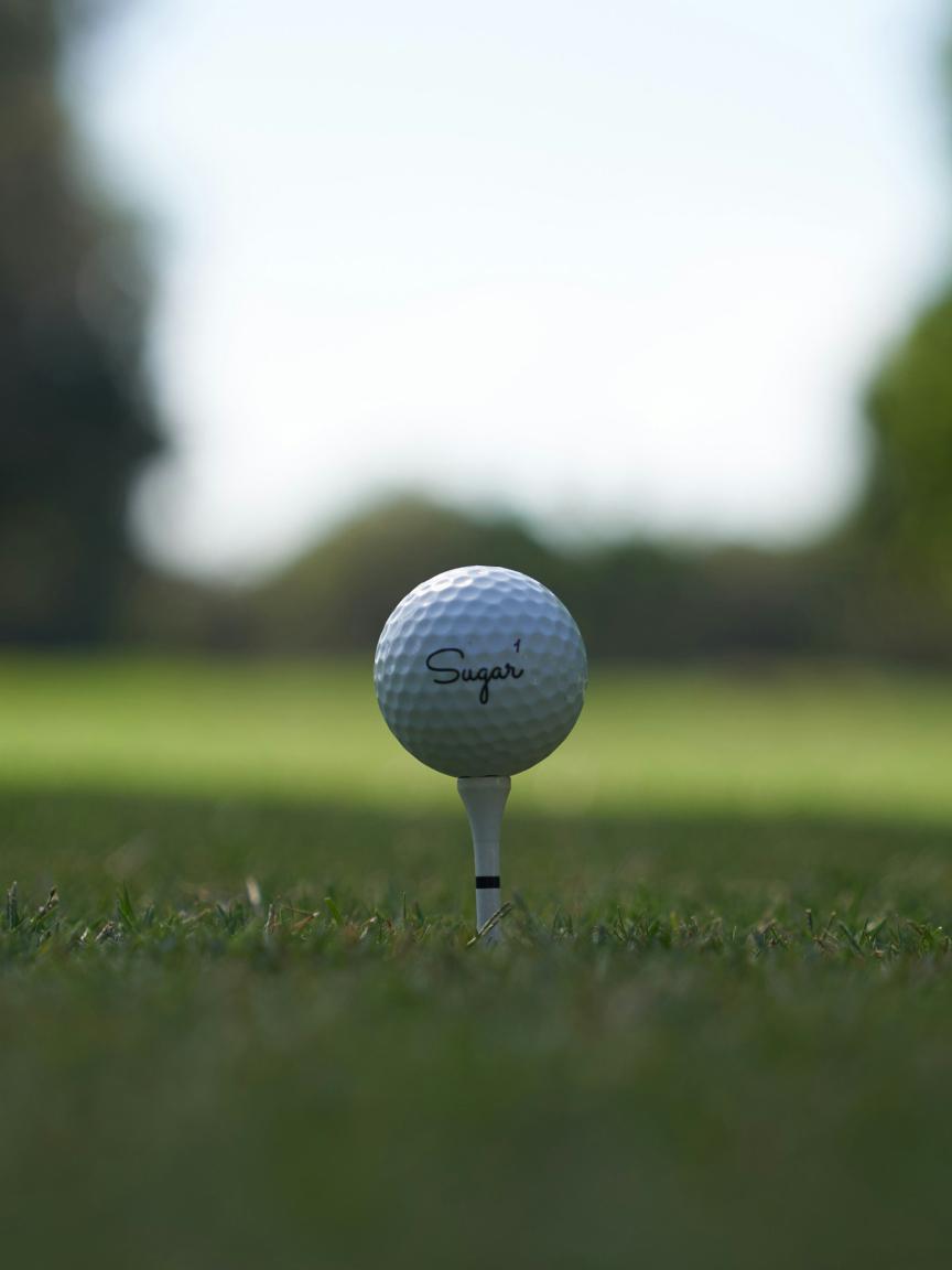 Pelota de golf