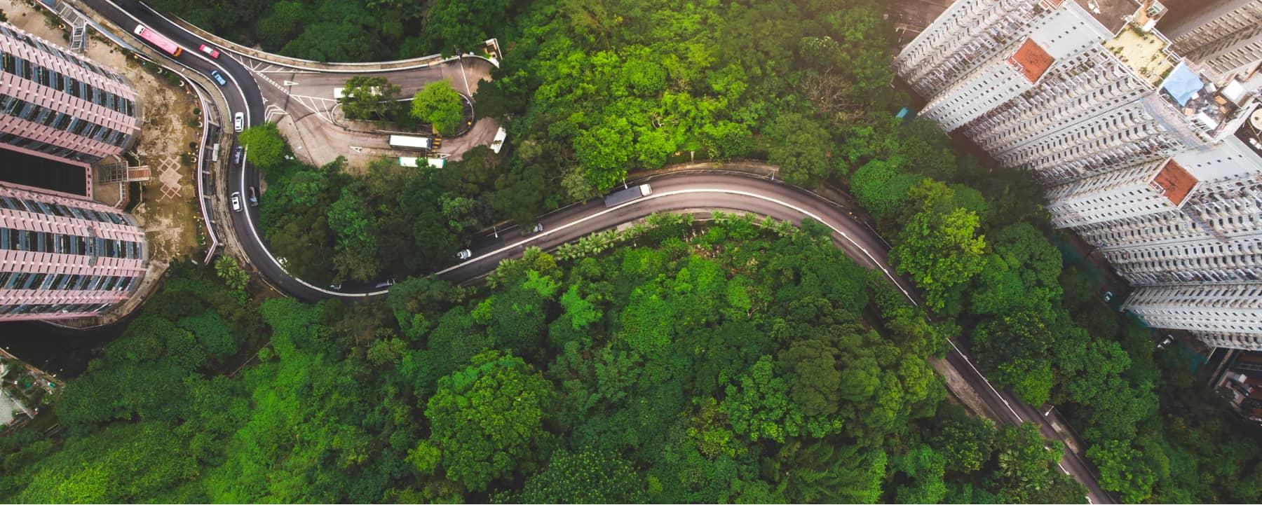 Vista aérea de una carretera sinuosa que atraviesa una exuberante vegetación junto a edificios urbanos.