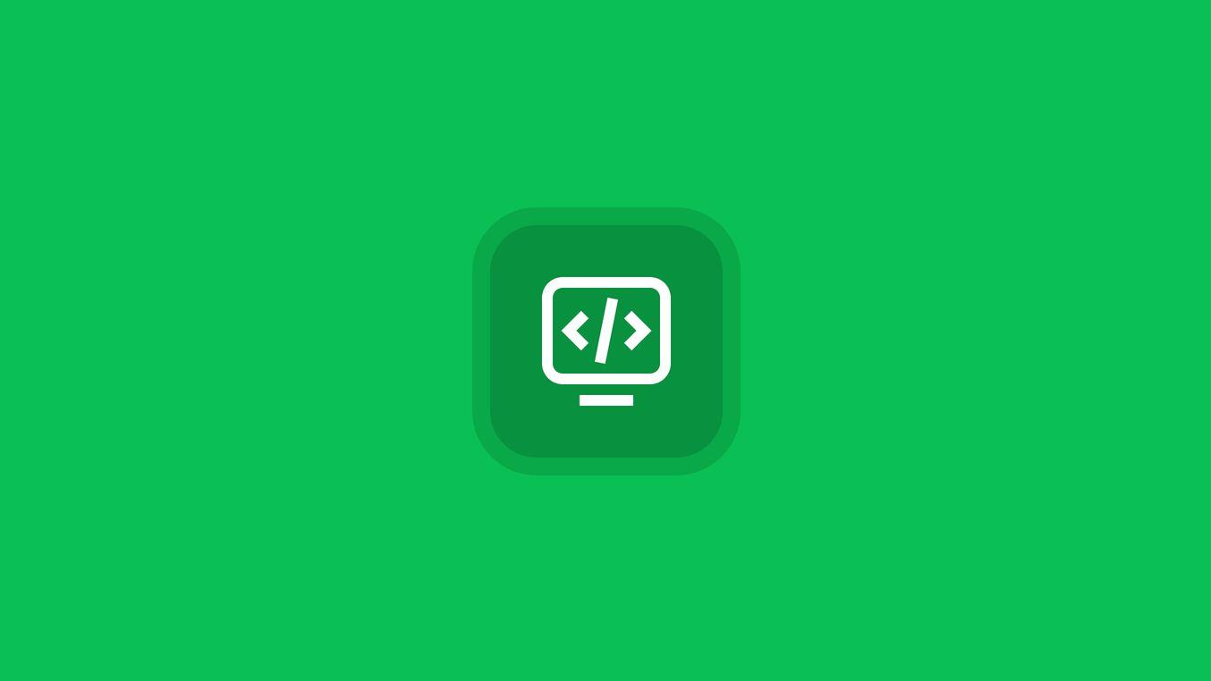 Icon representing coding or software development for a B2B company's services.