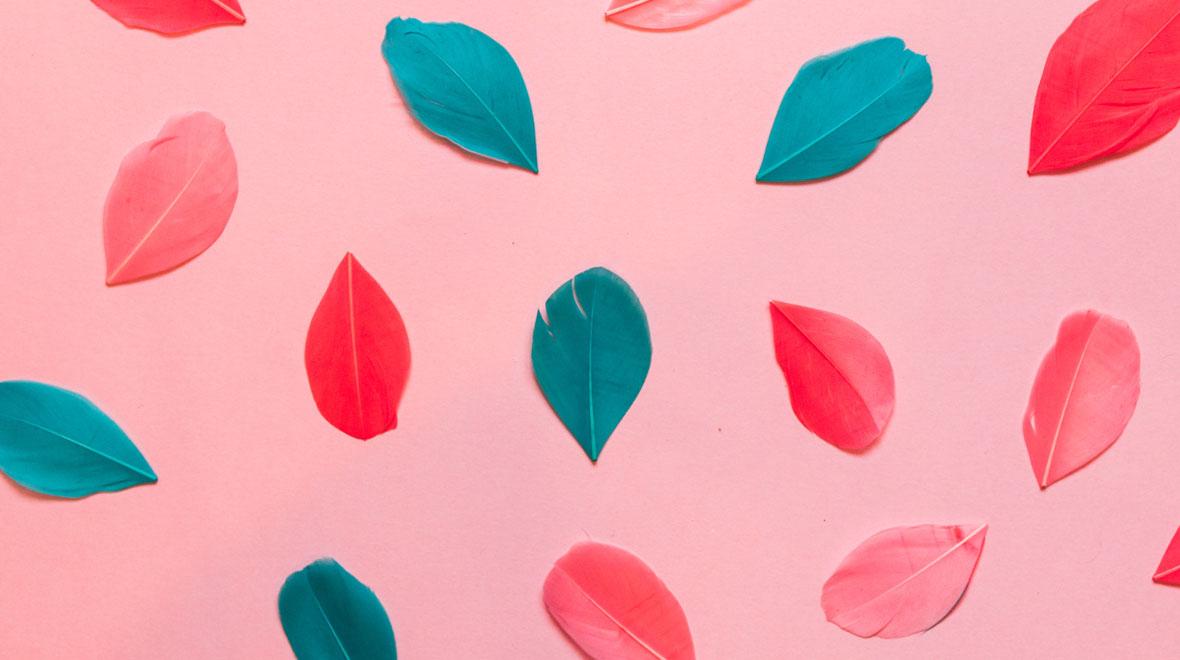 Folhas espalhadas em tons de verde-azul e coral sobre um fundo rosa