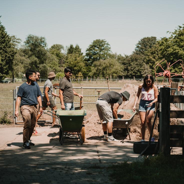 Group of people working on a community garden project, shoveling soil and moving wheelbarrows.