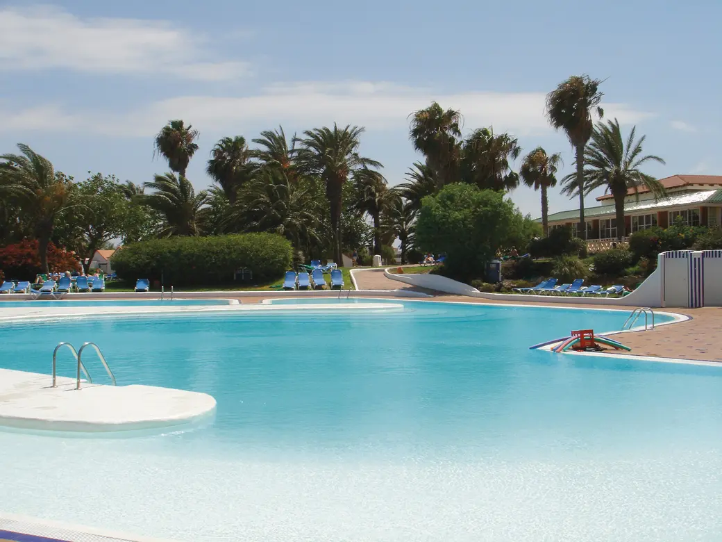 Poolbereich mit Palmen 