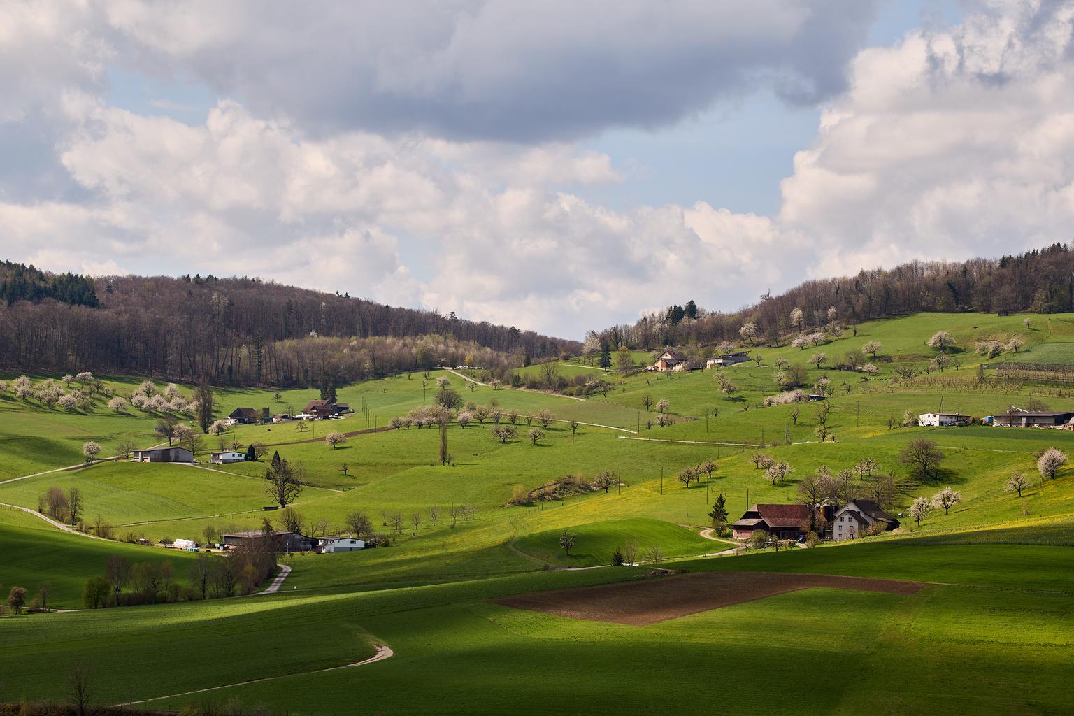 _I7A0265.jpg