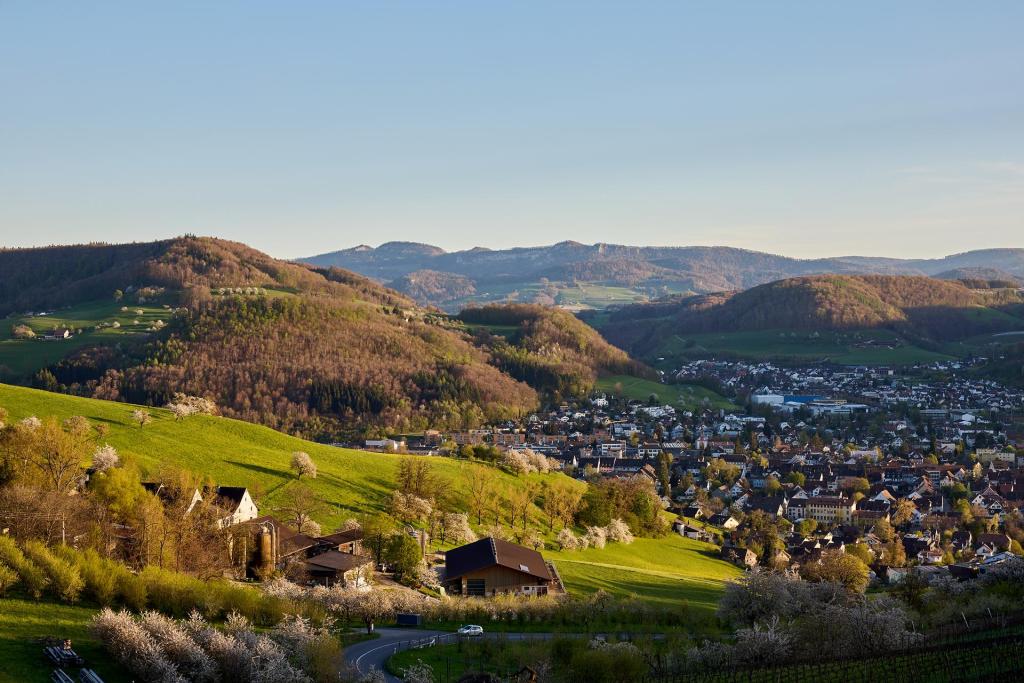Landschaft mit Hügeln, Häusern und Bäumen in der Region Basel im Sonnenlicht