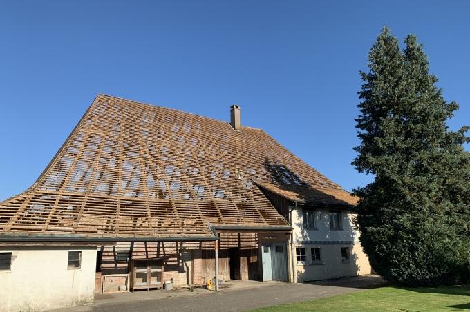 Ein traditionelles Bauernhaus mit beeindruckendem Dach und grüner Umgebung.