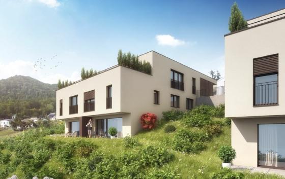 duerrenbergstrasse-trimbach-haus.jpg