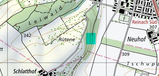 Karte mit den Koordinaten von Reinach