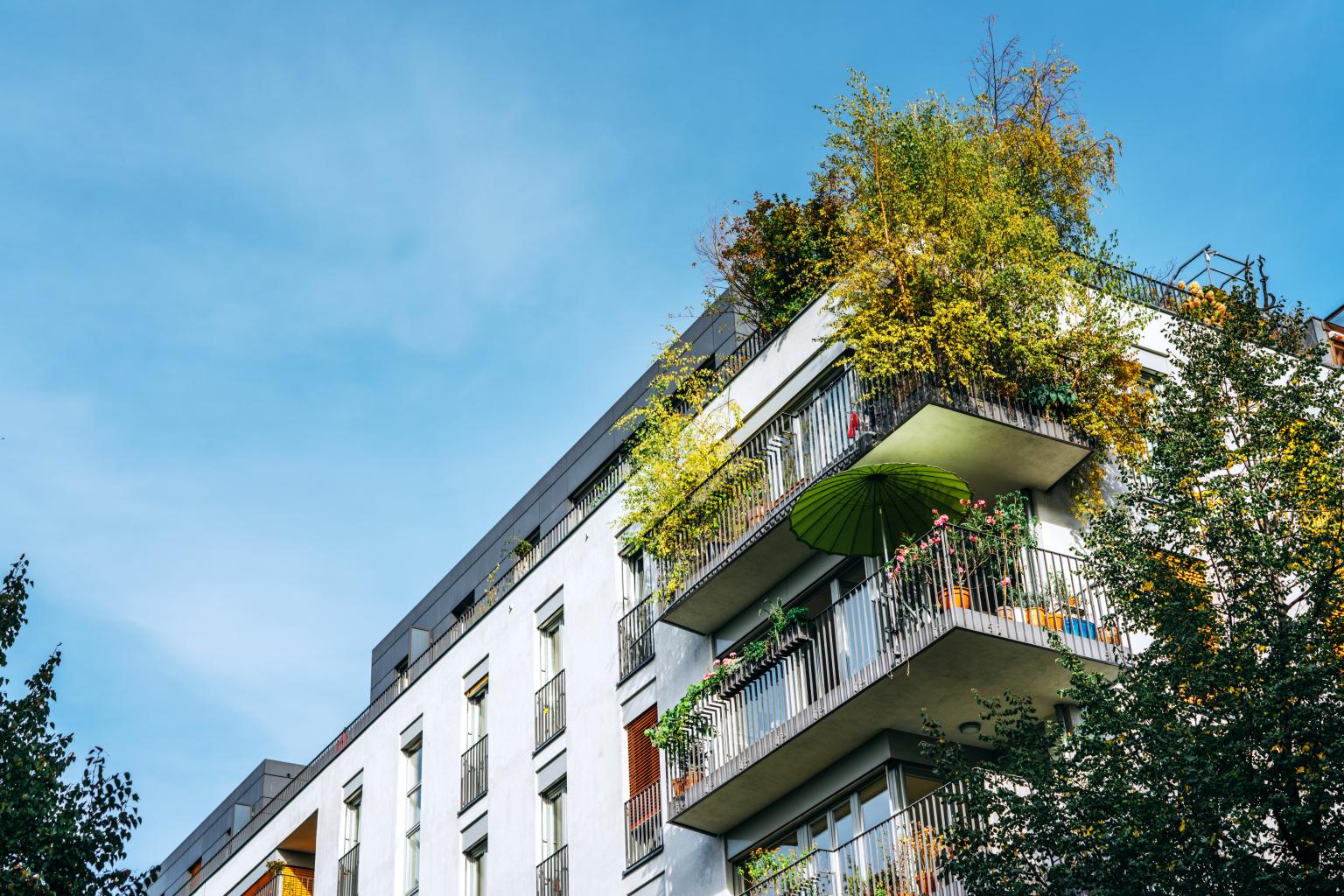 Moderner Wohnbau mit Bäumen auf Balkon und heller Fassade unter blauem Himmel