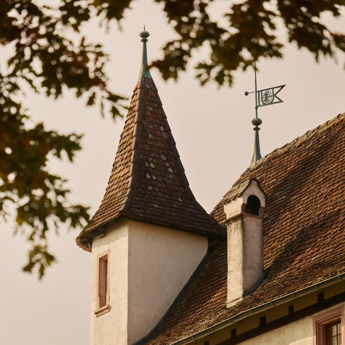 Historisches Gebäude mit Turm und roten Ziegeldächern einer natürlichen Umgebung der Nordwestschweiz.