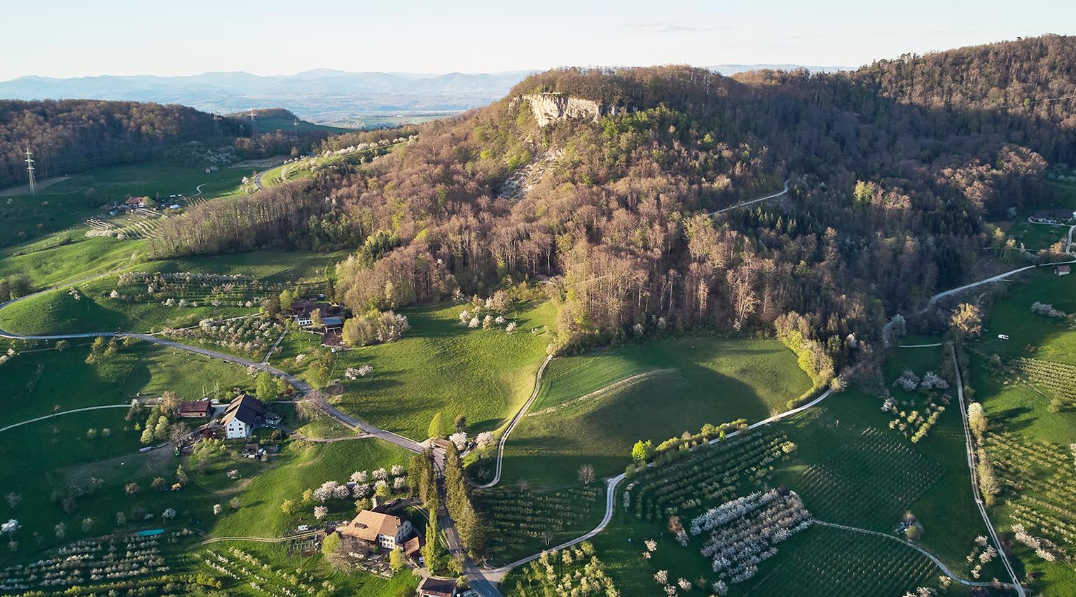 DJI_0544.jpg