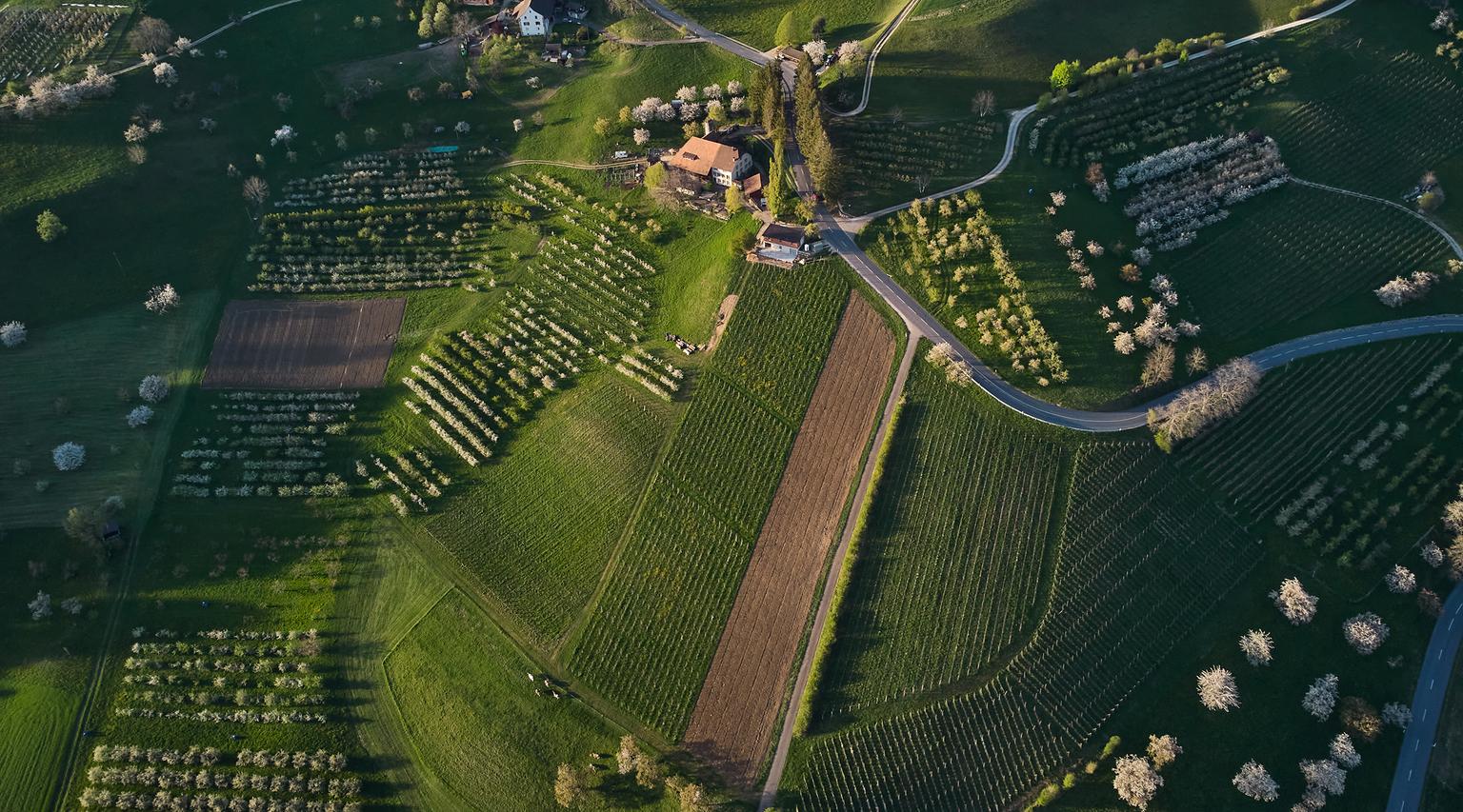 DJI_0539.jpg