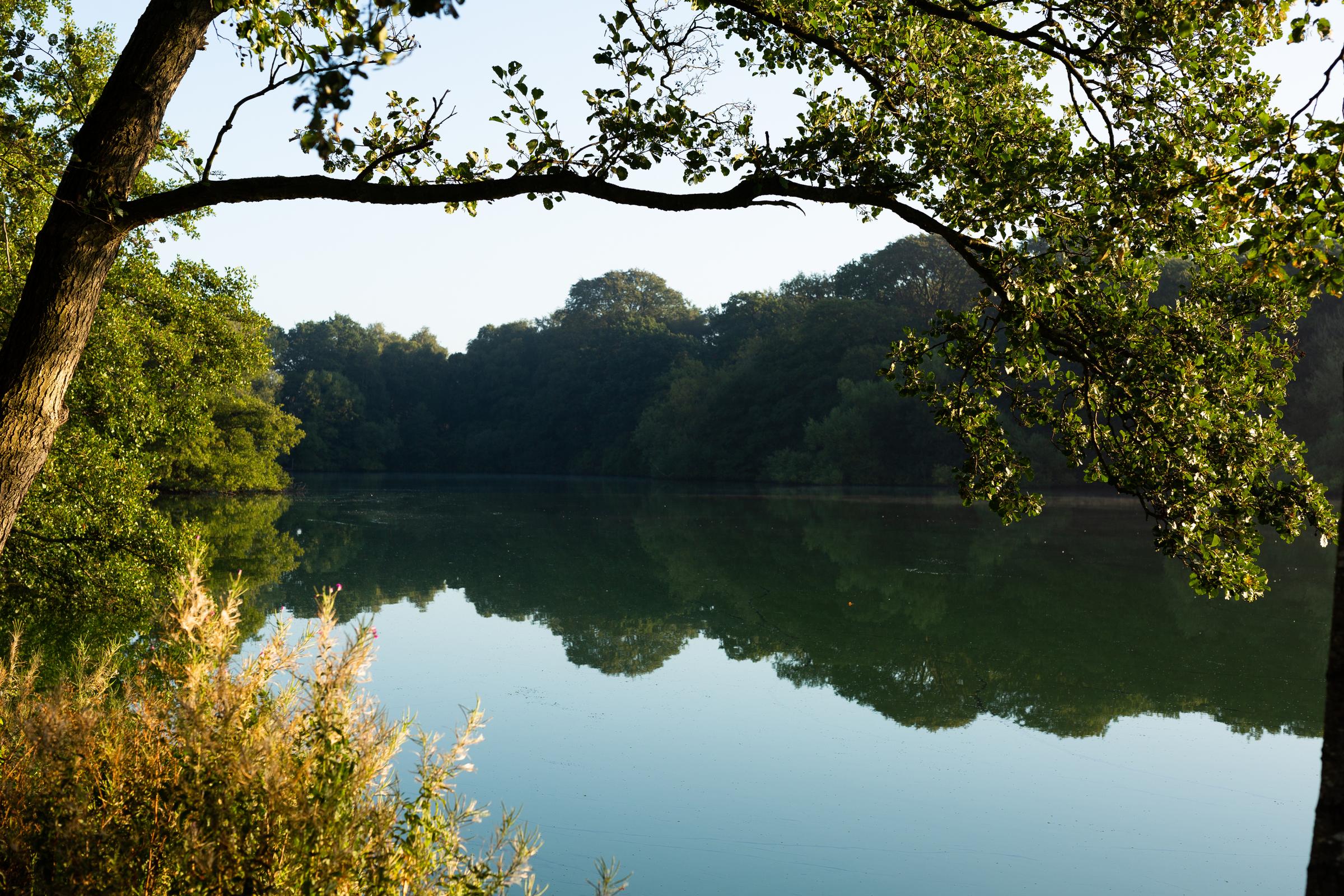 Alderley Park Bruntwood SciTech