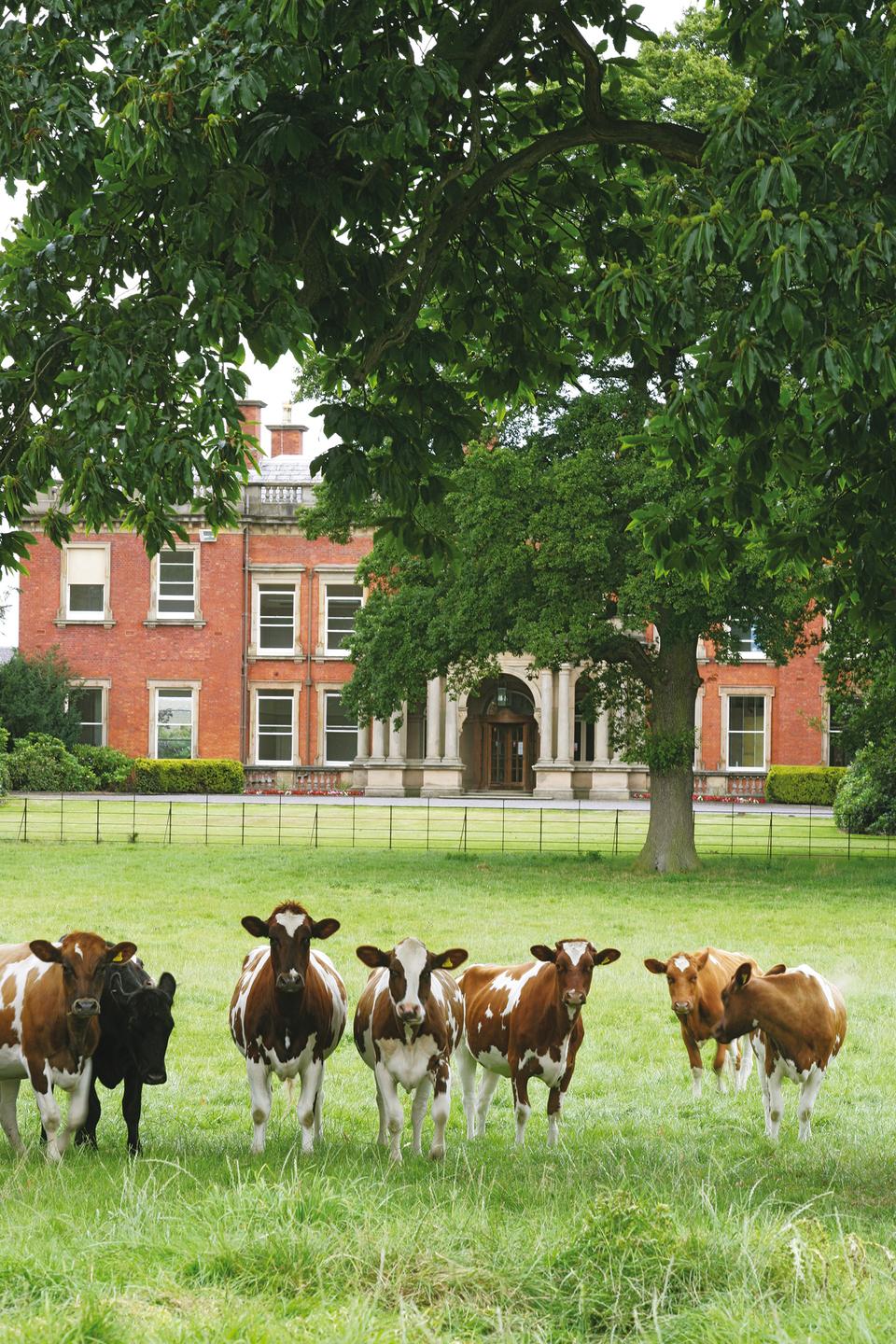 Booths Hall