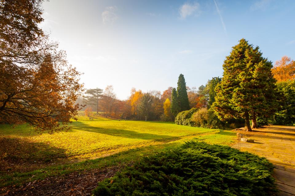 Abney Hall Park