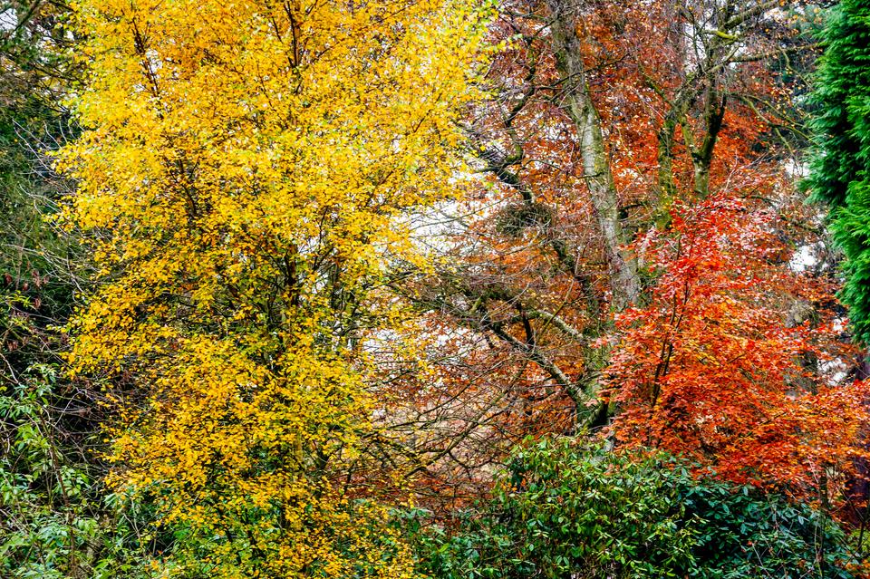 Abney Hall Park