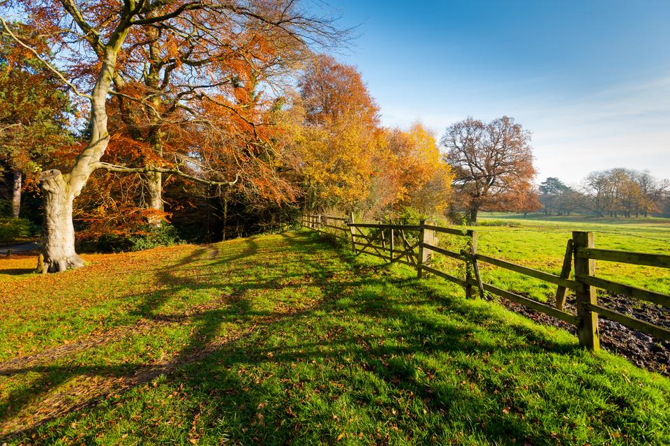 Abney Hall Park