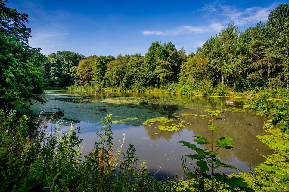 Abney Hall Park