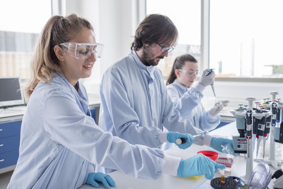 Greenhays lab technicians