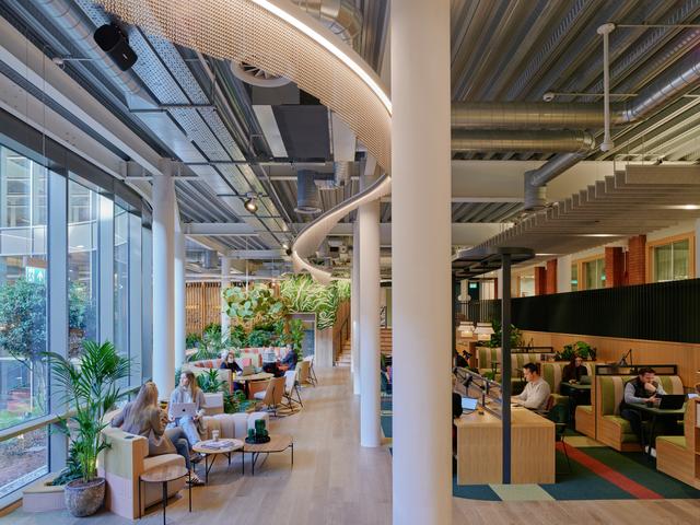 A group of people yoga