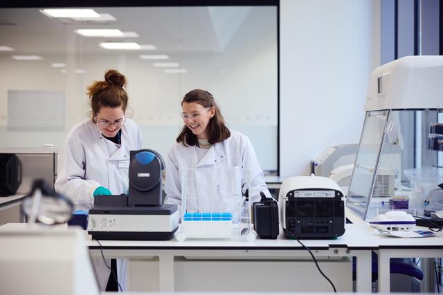 people working in white laboratory