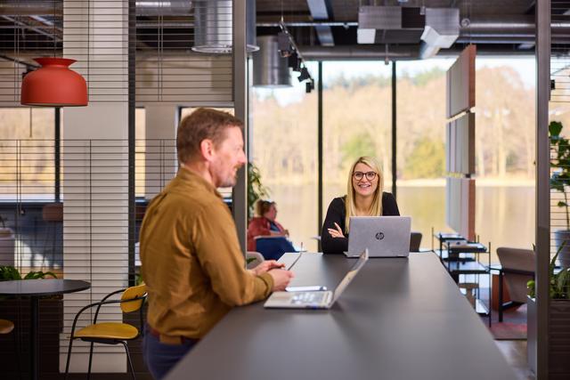 three colleagues sat on sofas with their laptops talking in front of windows