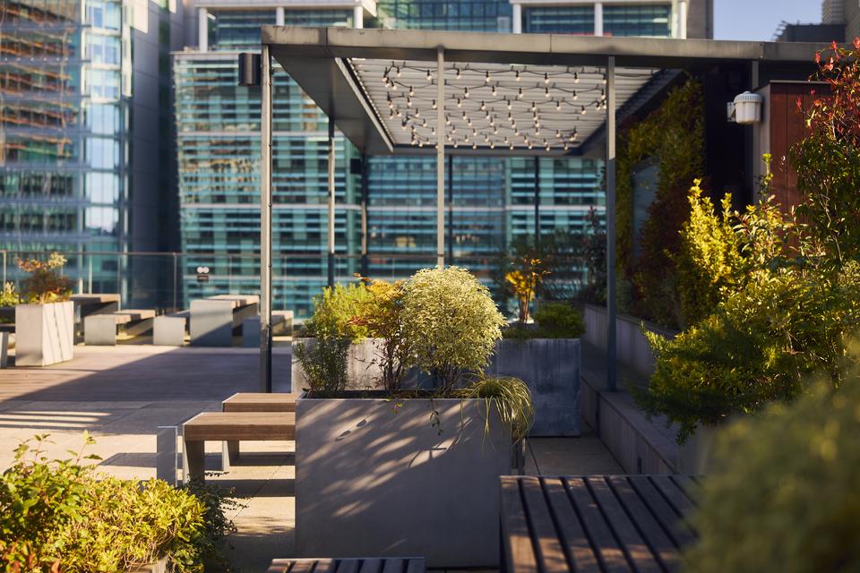Roof Terrace 