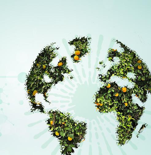 Read more about The Second Green Revolution:Omnia’s acquisition of Oro Agri 