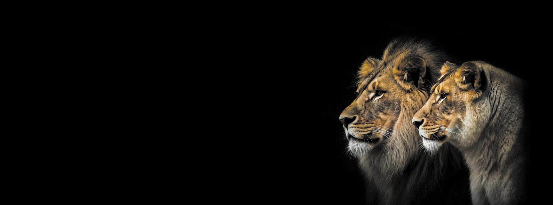 RMB enables Africa’s visionary leaders with capital for growth