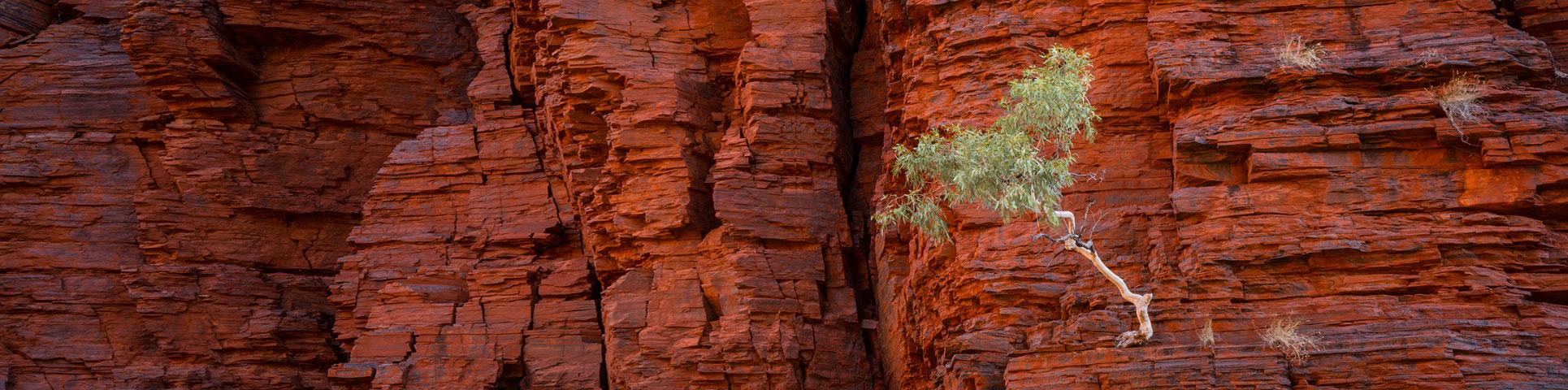 Our Purpose and Values