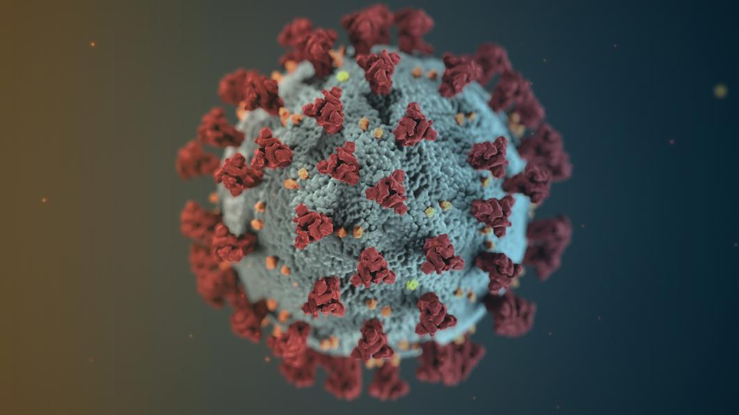 In eigener Sache: Coronavirus (COVID-19)