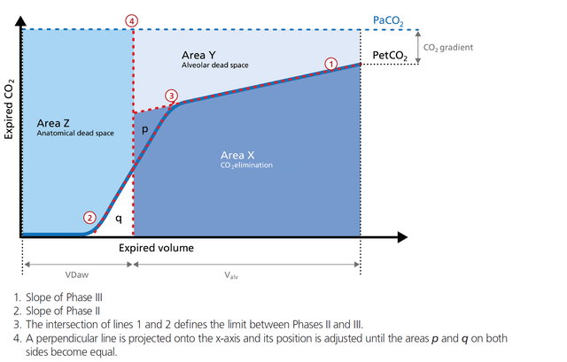 Calculation of V’alv, VDaw and VDaw/VTe