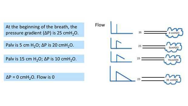 Diagrama que muestra el gradiente de presión y el flujo