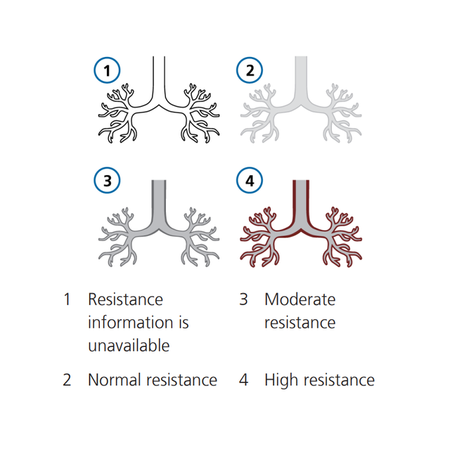 Graphic illustration: Dynamic lung resisttance